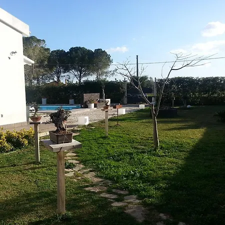 Casa vacanze Il Bonsai E La Chorisia