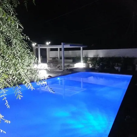 Il Bonsai E La Chorisia